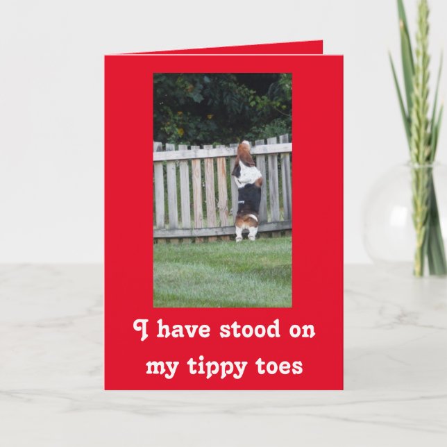 Searching Basset on Cute Valentine's Day Card Holiday Card (Front)