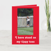Searching Basset on Cute Valentine's Day Card