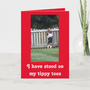 Searching Basset on Cute Valentine's Day Card Holiday Card