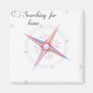 Searching for home compass magnet