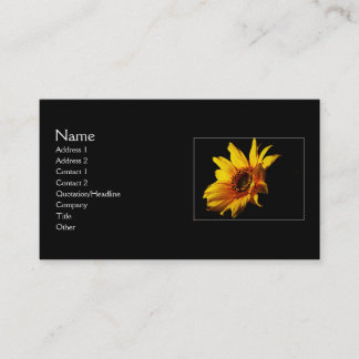 Searching for Light Business Card