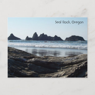 Searching for Seals Postcard