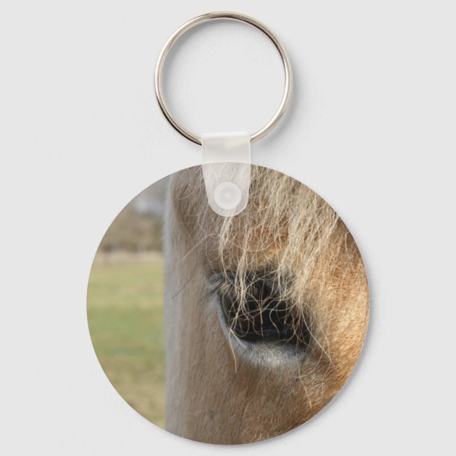 Searching Key Ring (Front)