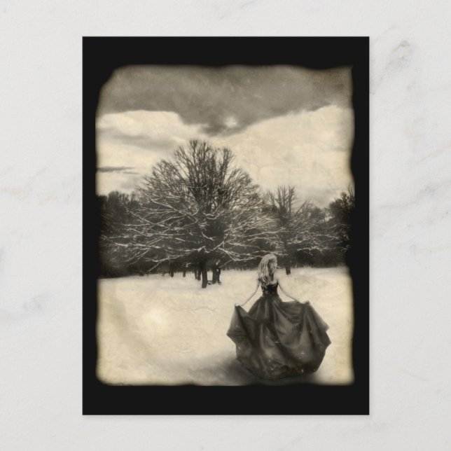 Searching - Postcard (Front)