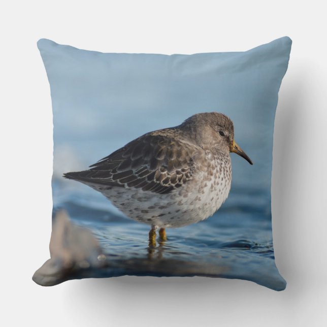 Searching Rock Sandpiper Cushion (Front)