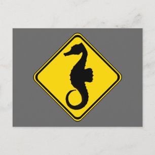 Searhorse Crossing ! Postcard