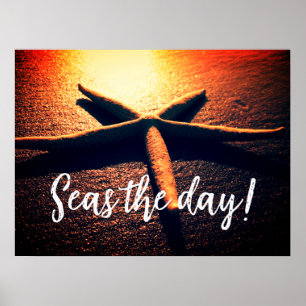 Seas the day beautiful starfish sunset beach photo poster
