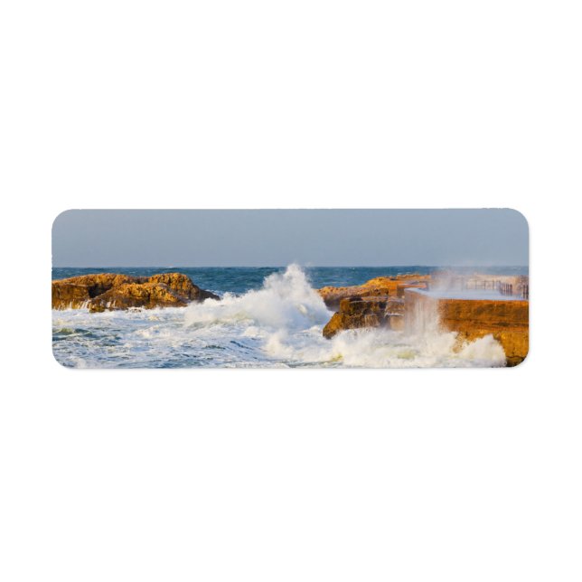 Seascape (Front)