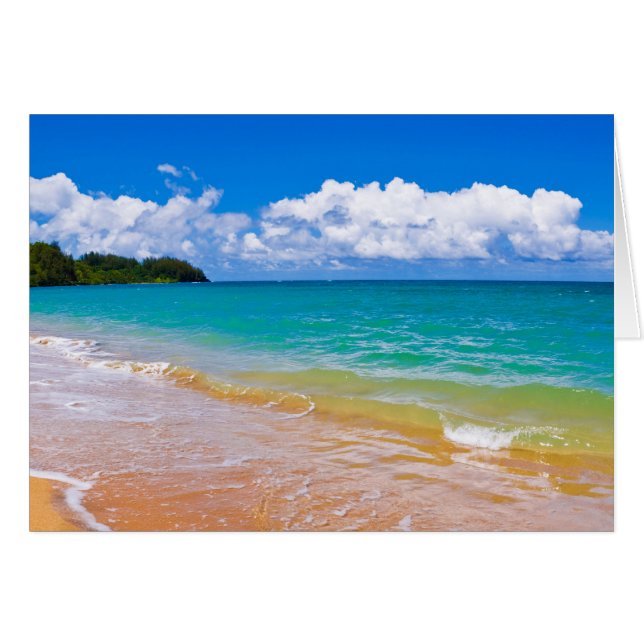 Seascape Along Hanalei Bay (Front Horizontal)