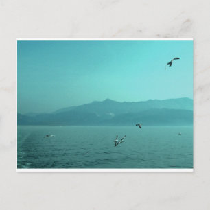 seascape postcard
