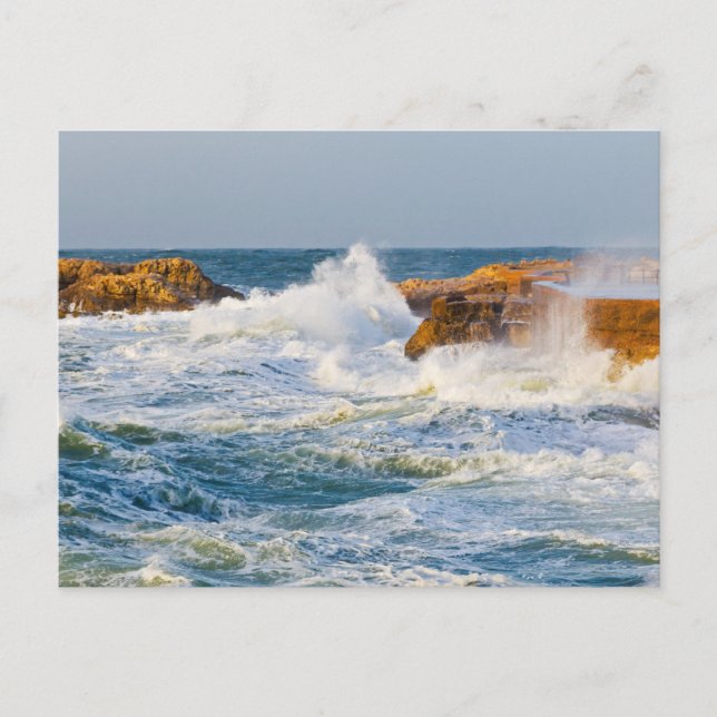 Seascape Postcard (Front)