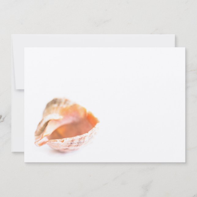 Seashell (Front)