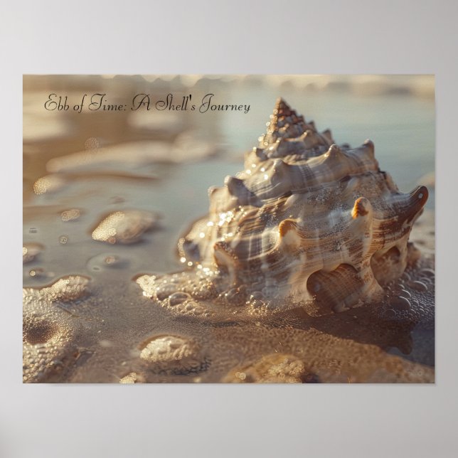 Seashell and Sunlit Foam: Coastal Serenity Poster (Front)