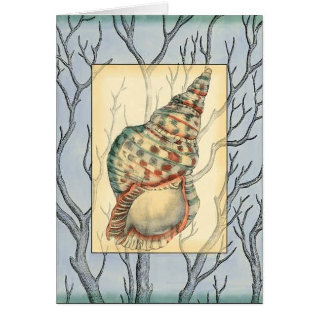 Seashell and Tree Branches (Front)