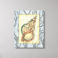 Seashell and Tree Branches