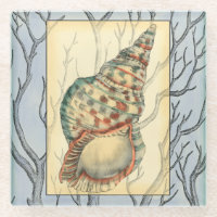 Seashell and Tree Branches