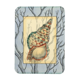 Seashell and Tree Branches Magnet