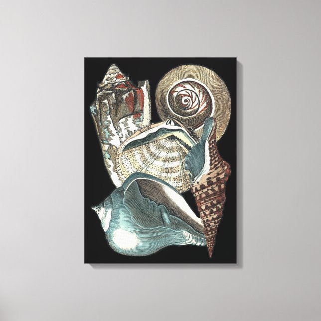 Seashell Anthology Canvas Print (Front)