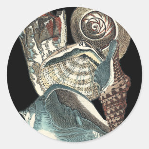 Seashell Anthology Classic Round Sticker