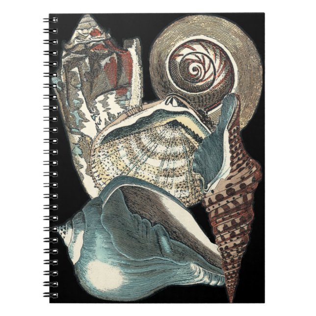 Seashell Anthology Notebook (Front)