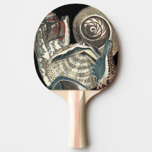 Seashell Anthology Ping Pong Paddle