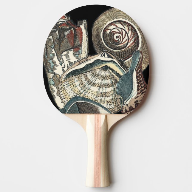 Seashell Anthology Ping Pong Paddle (Front)