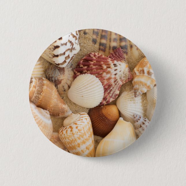 Seashell Arrangement 6 Cm Round Badge (Front)