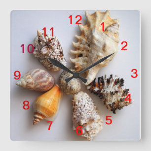 Seashell Arrangement Clock