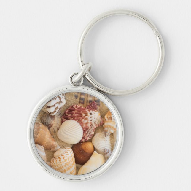 Seashell Arrangement Key Ring (Front)