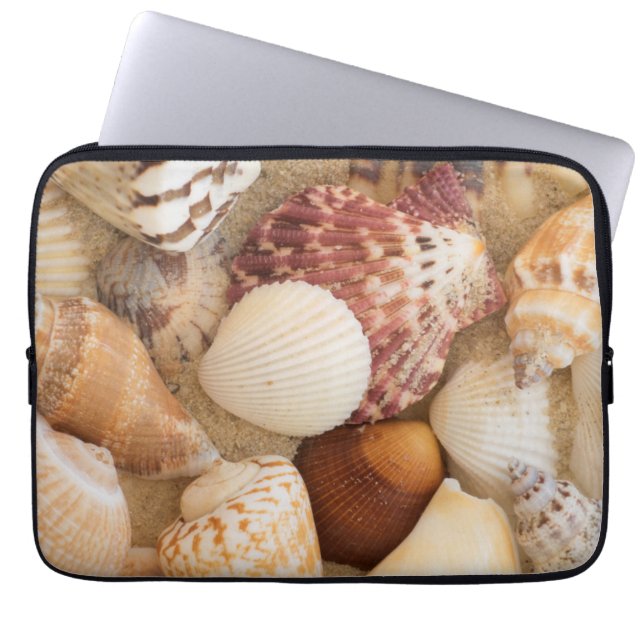 Seashell Arrangement Laptop Sleeve (Front)