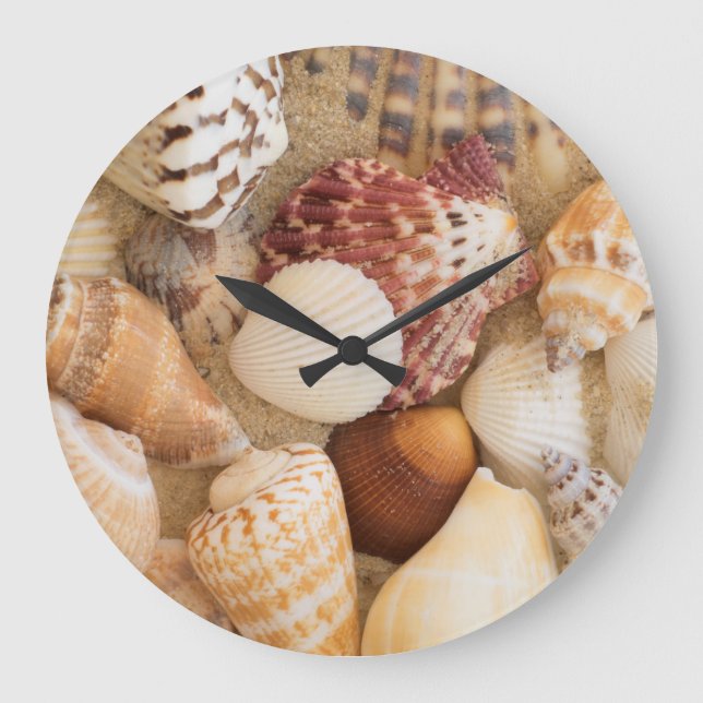 Seashell Arrangement Large Clock (Front)