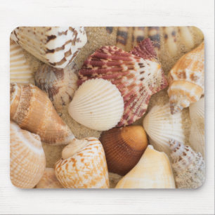 Seashell Arrangement Mouse Mat