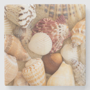 Seashell Arrangement Stone Coaster