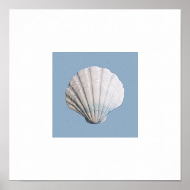 Seashell art print (Front)