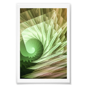 Seashell Art Print