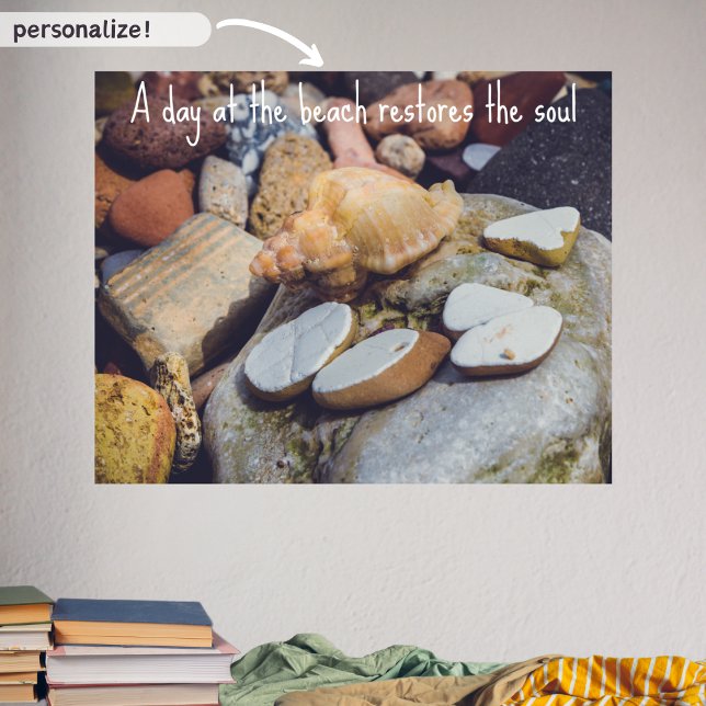 Seashell at the Seashore Poster (Creator Uploaded)