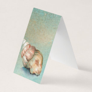 Seashell Beach Folded Bookmark  Business Card