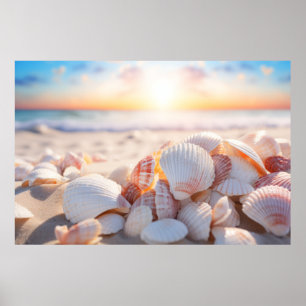 Seashell Beach Nature Serene Tranquil Poster