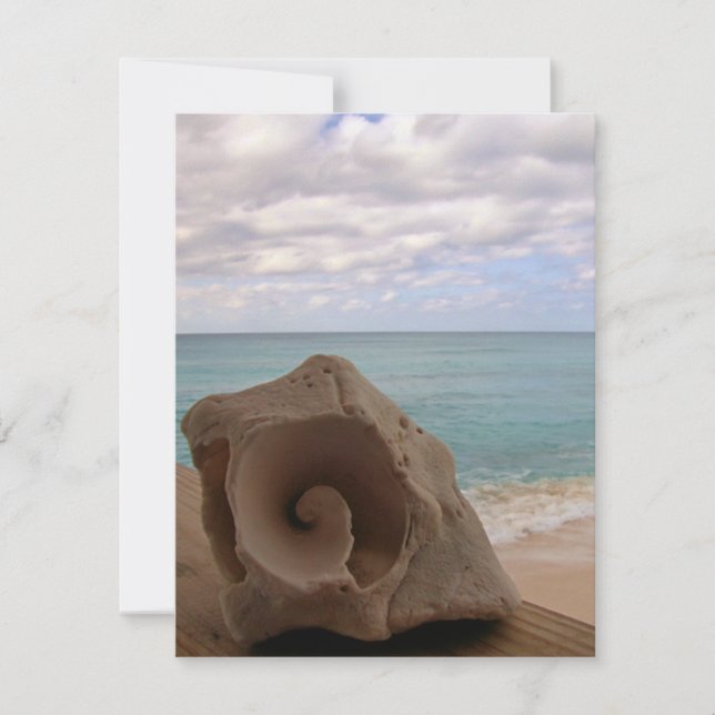 Seashell Beach Paradise Invitation (Front)
