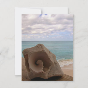 Seashell Beach Paradise Invitation