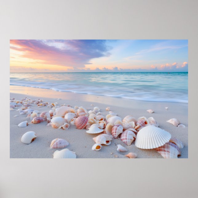 Seashell Beach Tranquil Peaceful Nature  Poster (Front)