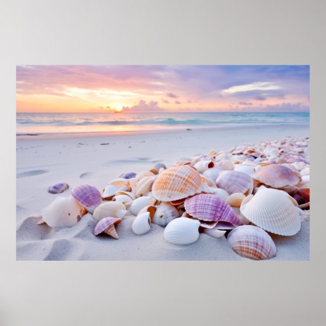 Seashell Beach Tranquil Peaceful Nature  Poster (Front)