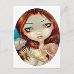 "Seashell Beauty" Postcard