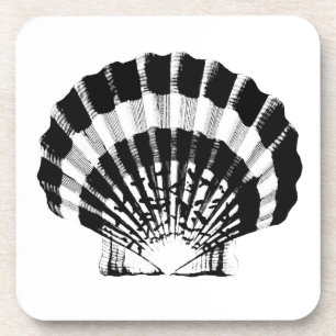 Seashell - black and white coaster