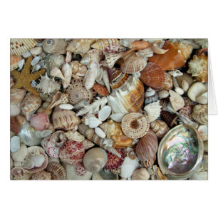 Seashell Card