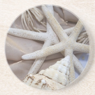 Seashell Coasters