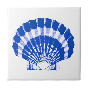 Seashell - cobalt blue and white tile
