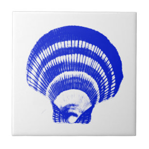 Seashell - cobalt blue and white tile