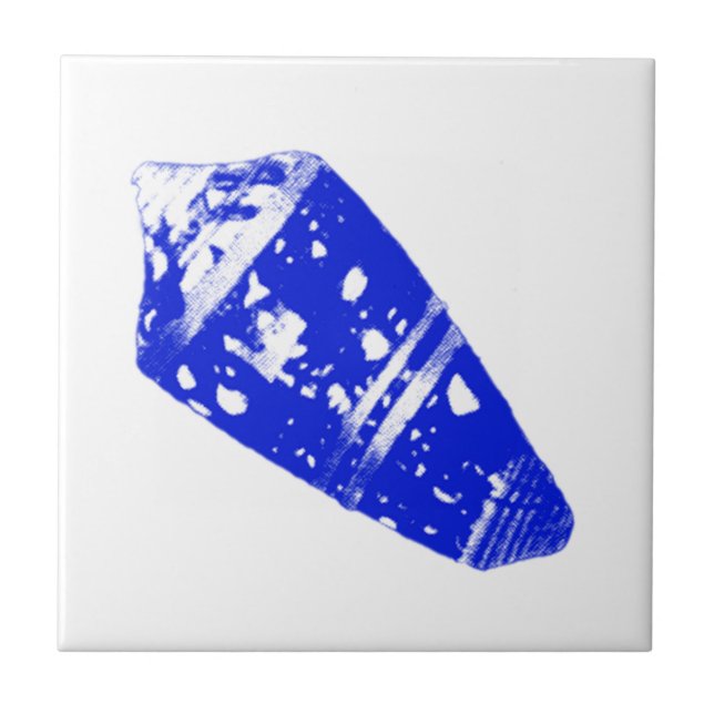 Seashell - cobalt blue and white tile (Front)