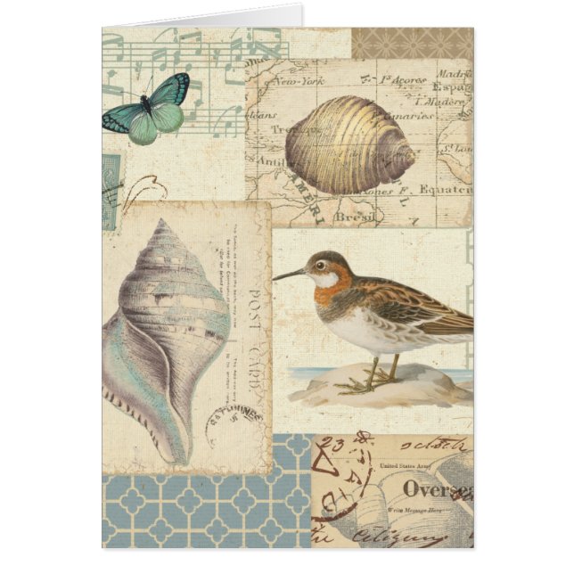 Seashell Collage (Front)